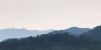 Maples Ridge Vacation Rentals:Emerald Forest