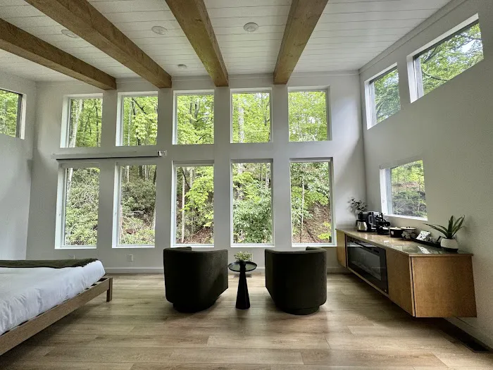 Black Fern Treehouse 4