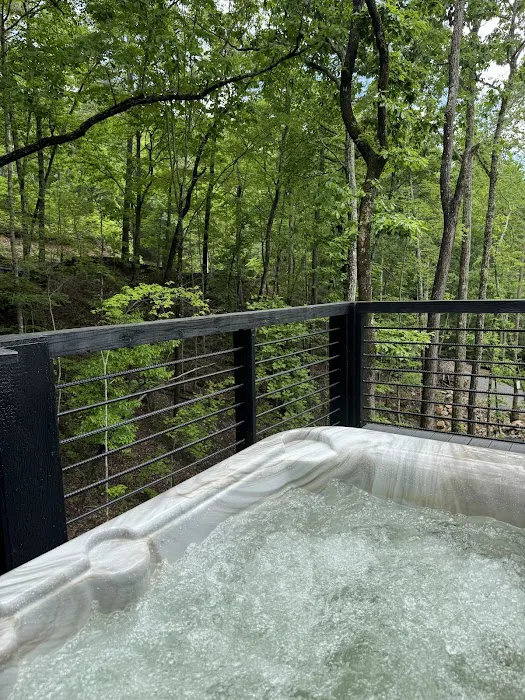 Black Fern Treehouse 4