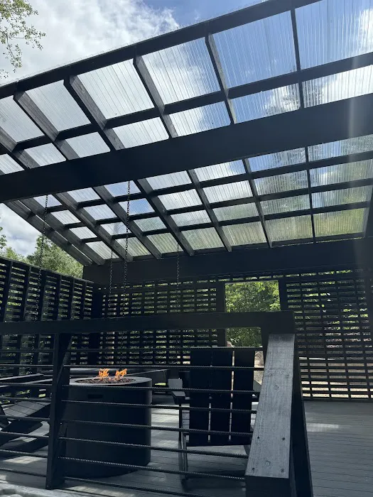 Black Fern Treehouse 4