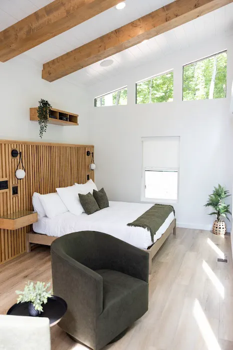 Black Fern Treehouse 4