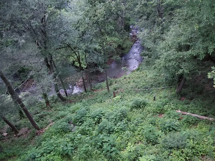 Cove Creek Cottage 4