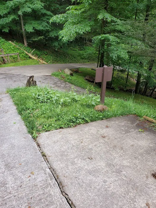 Cove Creek Cottage 4