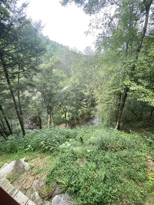 Cove Creek Cottage 4