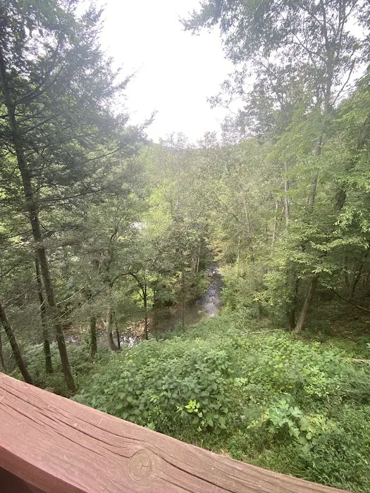 Cove Creek Cottage 4