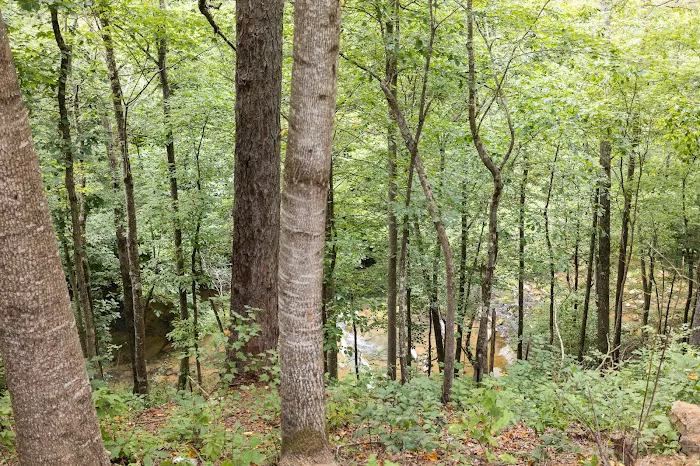 River Edge | 6 Bedroom Family Vacation Cabin 4