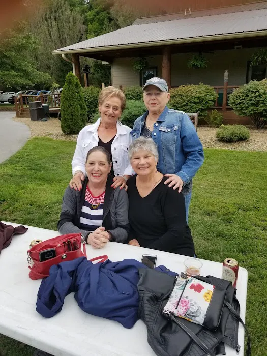 Sapphire Valley Master Associates 4