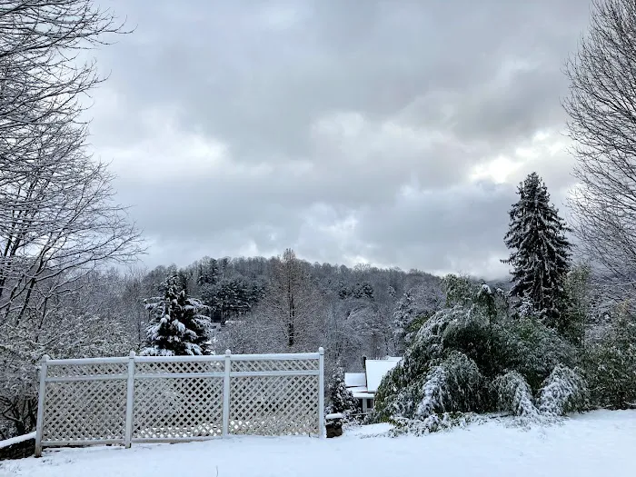 The Historic Herren House 4