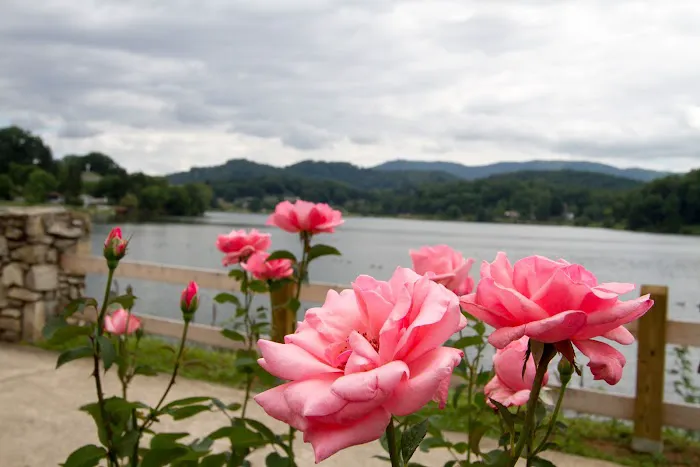 The Terrace at Lake Junaluska 4