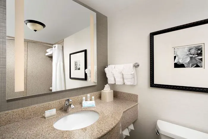 Hilton Garden Inn Atlanta West/Lithia Springs 4