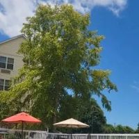 TownePlace Suites Knoxville Cedar Bluff ico