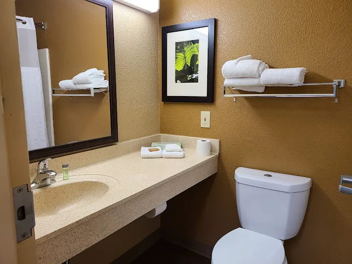 MainStay Suites Knoxville - Cedar Bluff 4