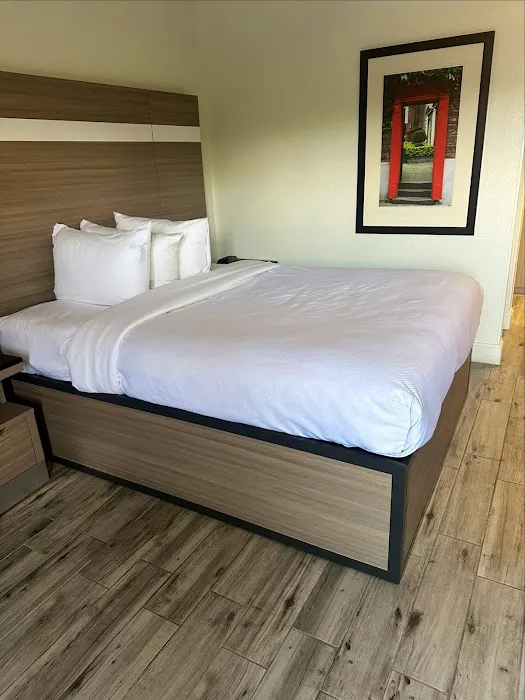 MainStay Suites Knoxville - Cedar Bluff 4