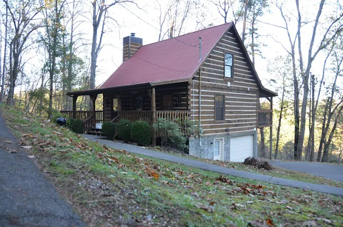 Honey Cub Cove 4