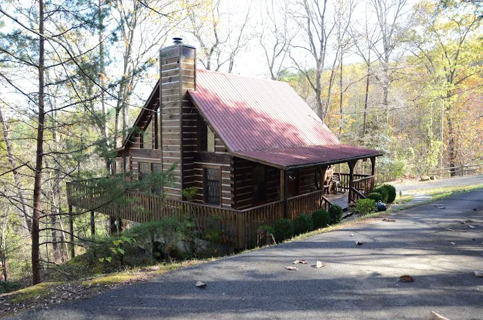 Honey Cub Cove 4