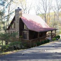 Honey Cub Cove ico