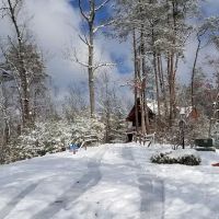True Grit Resort ico