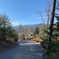 The Smoky Pines ico