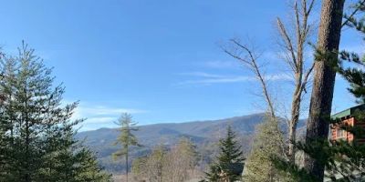 The Smoky Pines