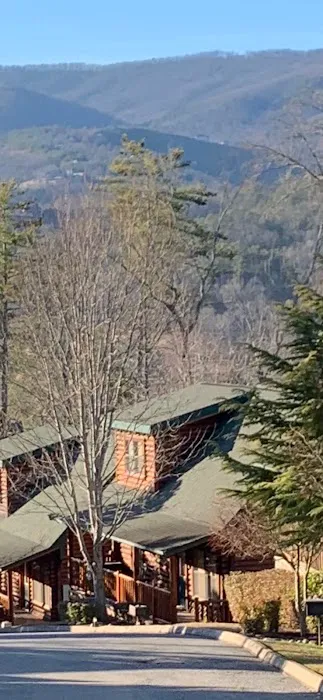 The Smoky Pines 4