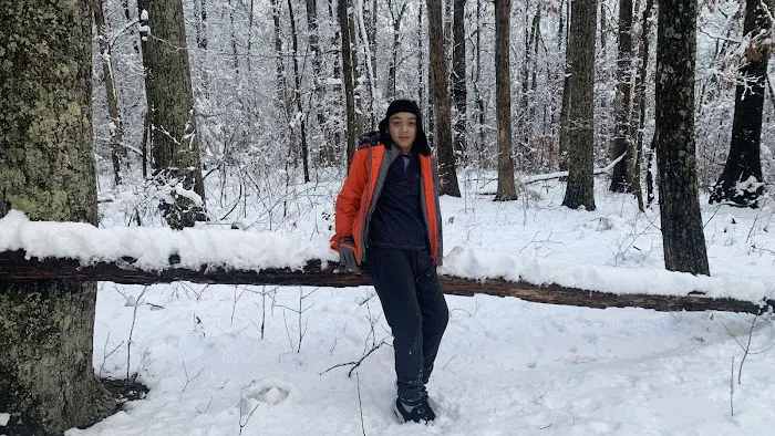Jennie’s View 4