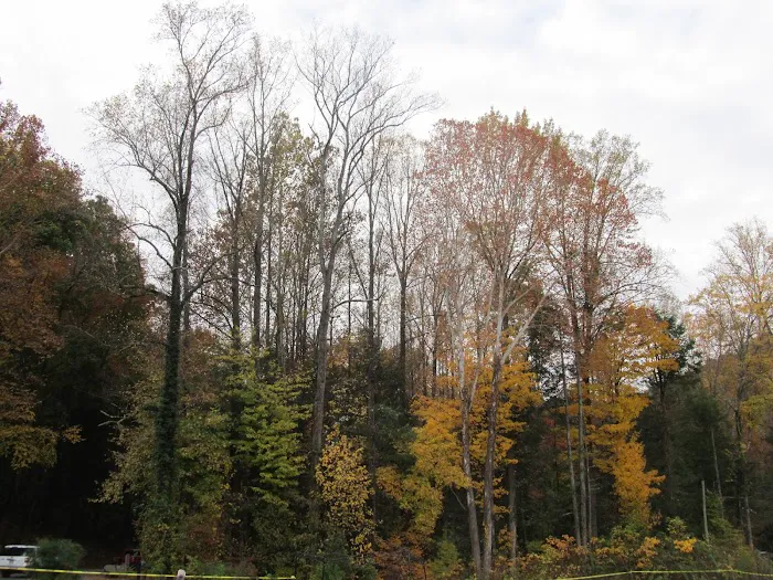 moose creek crossings 4