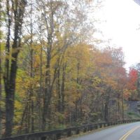moose creek crossings ico