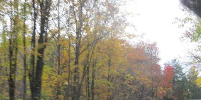 moose creek crossings