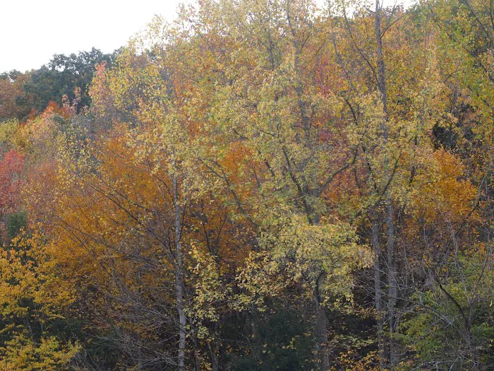 moose creek crossings 4