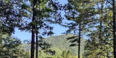 Brook Trout Inn