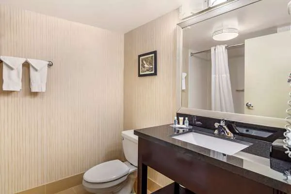 Comfort Inn Douglasville - Atlanta West 4