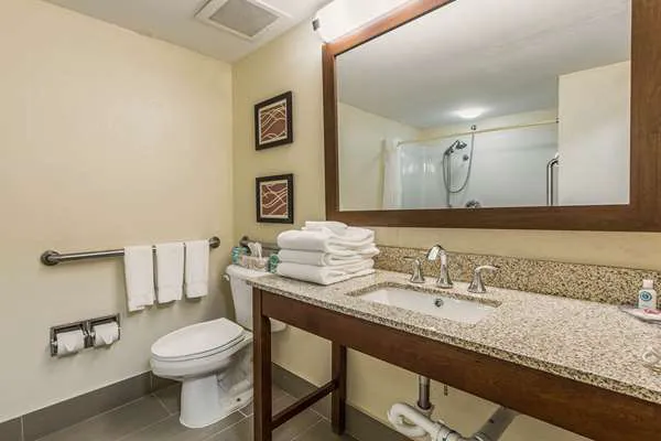 Comfort Inn & Suites Greenwood near University 4