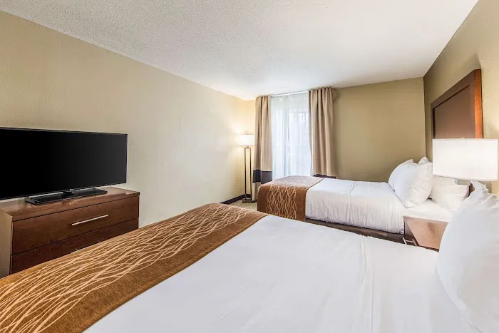 Comfort Inn & Suites Greenwood near University 4