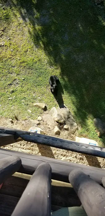 Deer Point 4