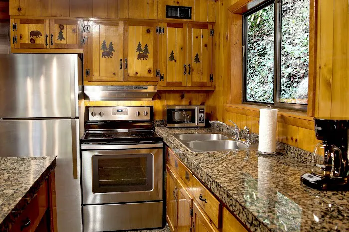The Lodge at Ski Mountain 4