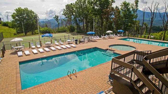 Homegrown Hideaways: Mountain Bearadise 4
