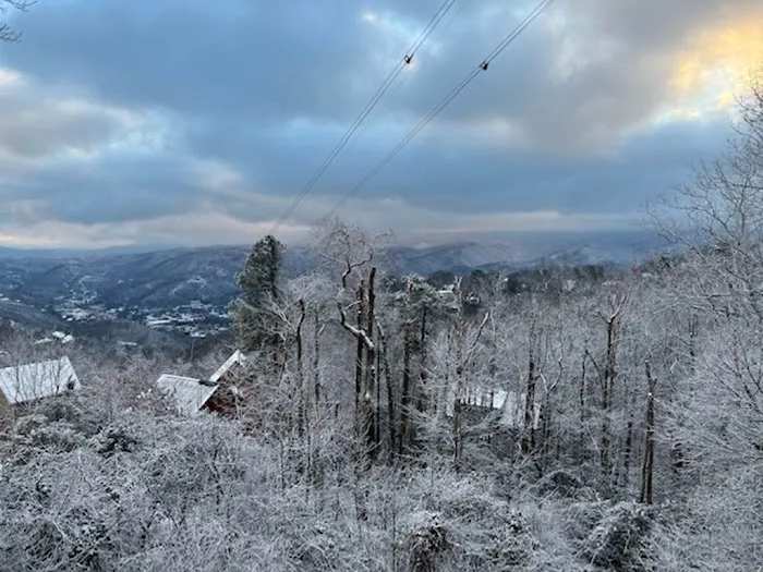 Homegrown Hideaways: Mountain Bearadise 4