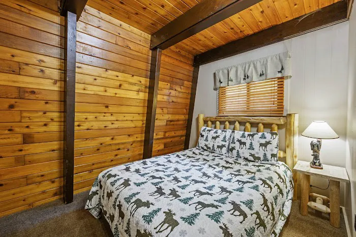 Homegrown Hideaways: Mountain Bearadise 4