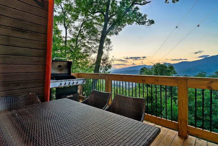 Homegrown Hideaways: Mountain Bearadise 4