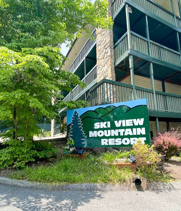 Ski View Mountain Resort 4
