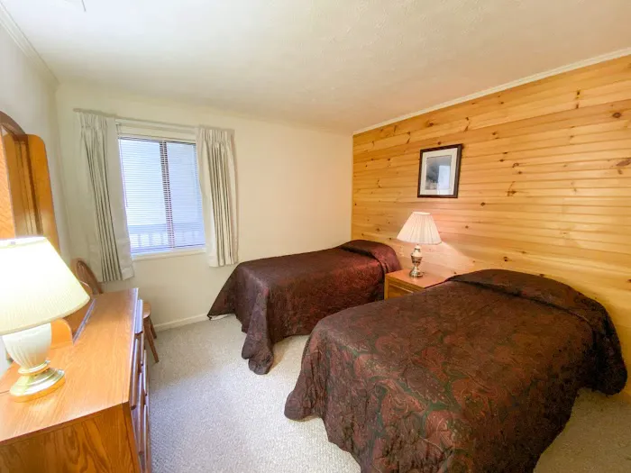 Ski View Mountain Resort 4