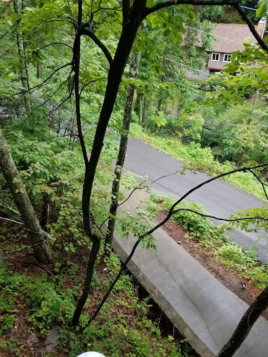 Parkside Escape 4