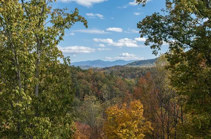 Southern Comfort Cabin 4