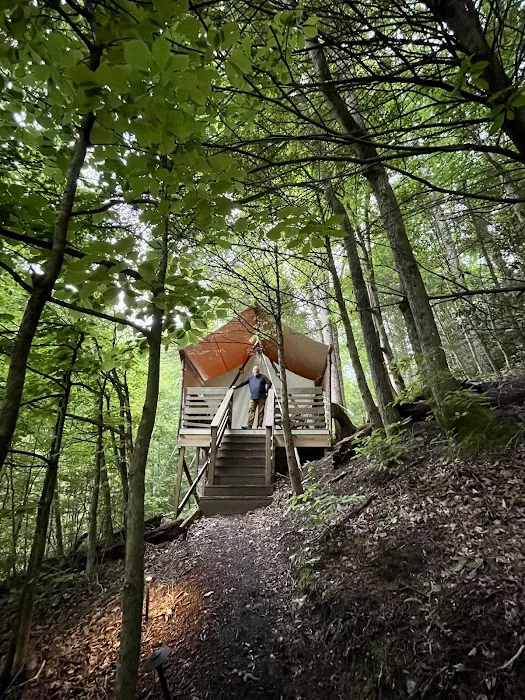 Under Canvas Great Smoky Mountains 4