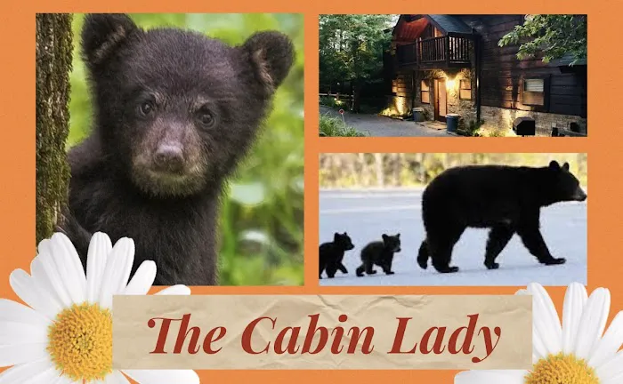 Smoky's Retreat by The Cabin Lady 4