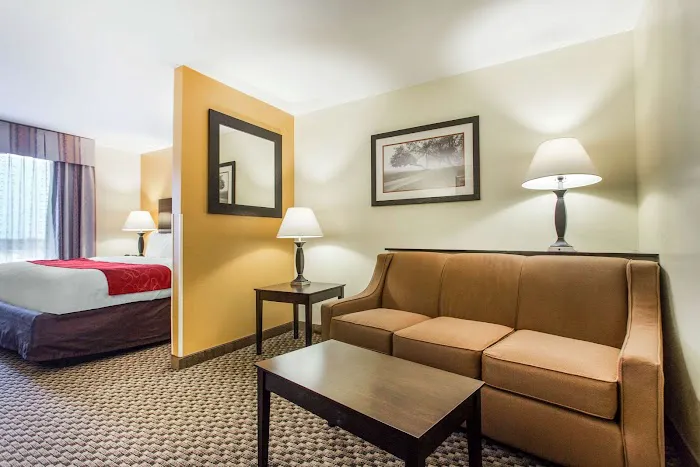 Comfort Suites Clinton near Presbyterian College 4