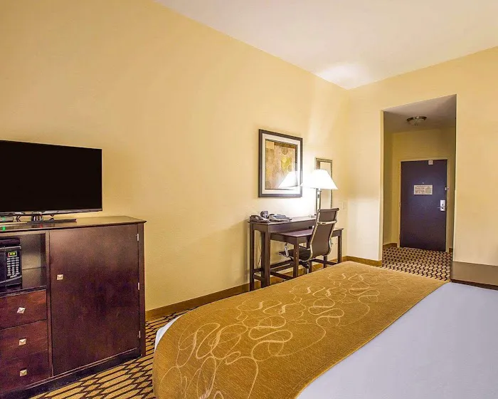 Comfort Suites Simpsonville - Greenville 4