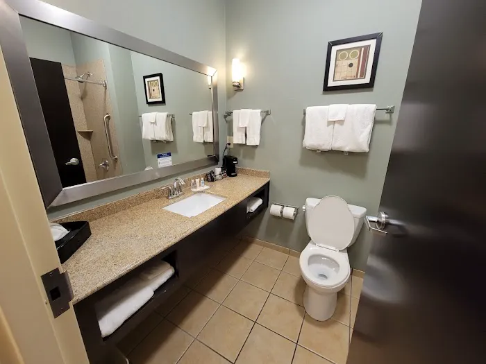 Comfort Suites Simpsonville - Greenville 4
