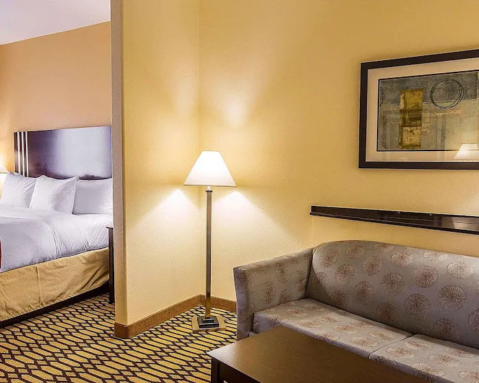 Comfort Suites Simpsonville - Greenville 4