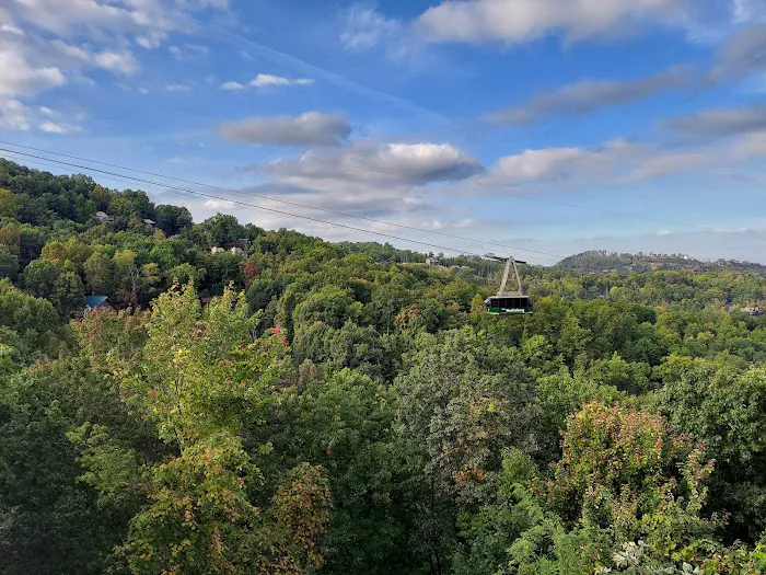 Skyline View Cabin 4